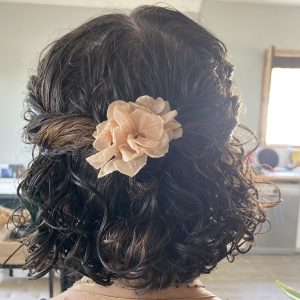 Pic à cheveux